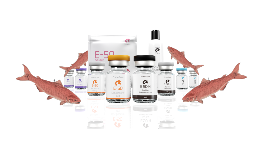 E-50 Collection