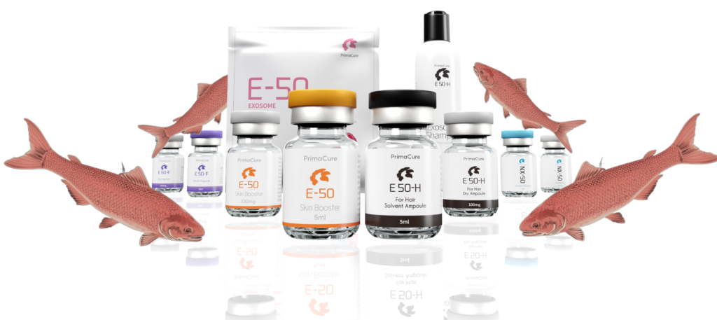 E-50 Collection